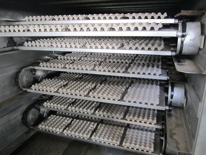 蛋盒机4000-4800片每小时